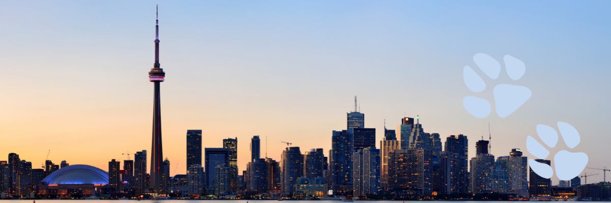 Cheap Flights To Toronto Ontario From Boston Massachusetts Fly